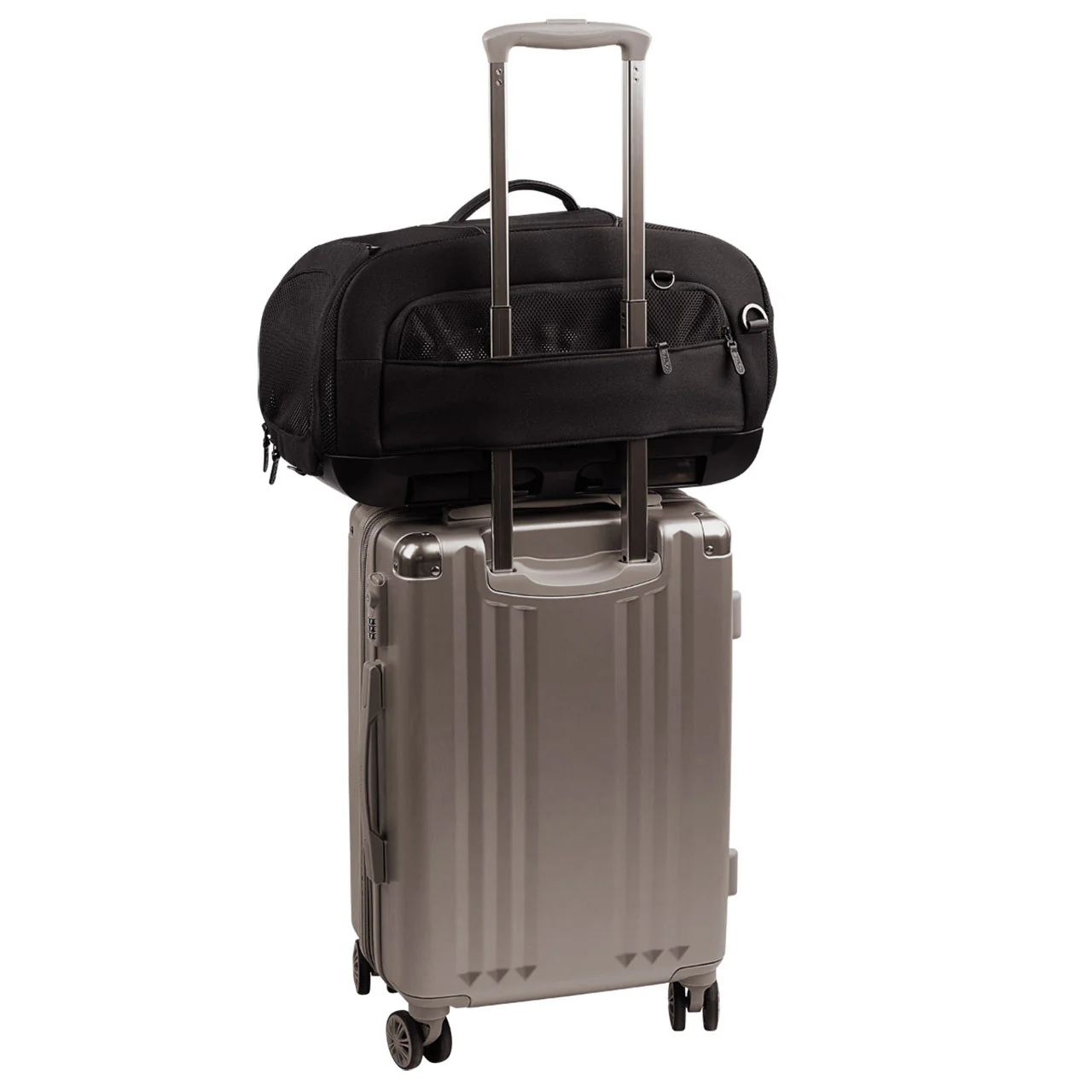 Tavo Dupree I Airline Carry-on Pet Car Seat - Image 3